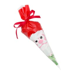 Santa Cone Bags