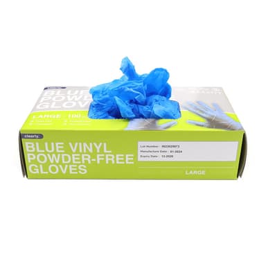 Accessories Large Powder Free Vinyl Gloves