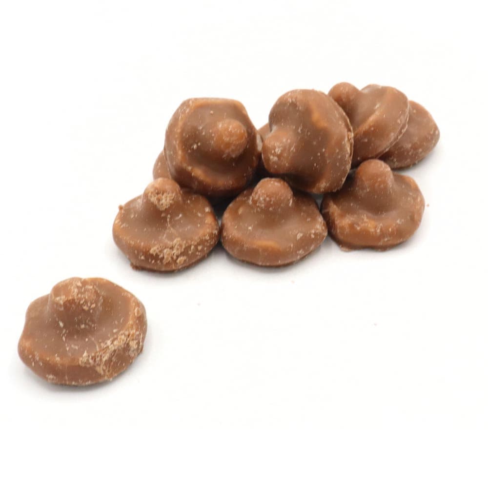 Dals Chocolate Covered Mushroom Bag 2.2kg