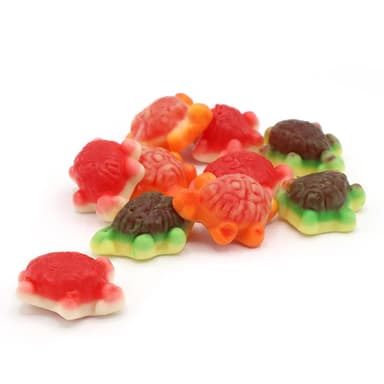 Vidal Turtles - 1 x 1kg Bag