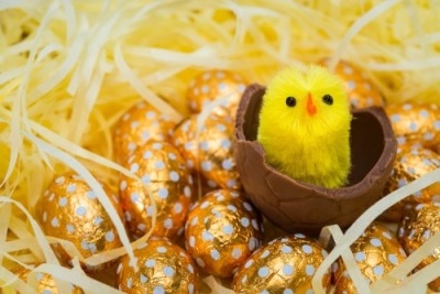 A chick in a chocolate egg