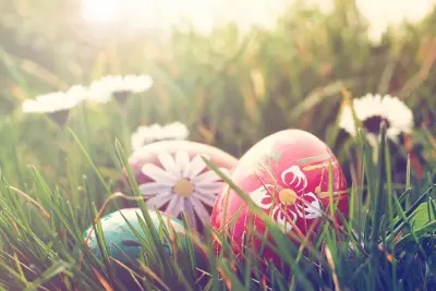 Decorated egg in the grass
